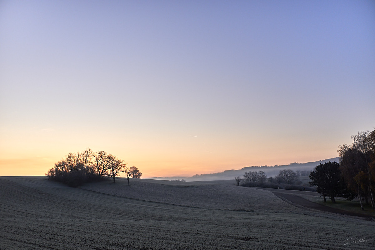 © All Rights Reserved - 2019-12-05 08:37:23 f/4 1/950sec ISO-200 18.5mm - France, Alsace, Romanswiller