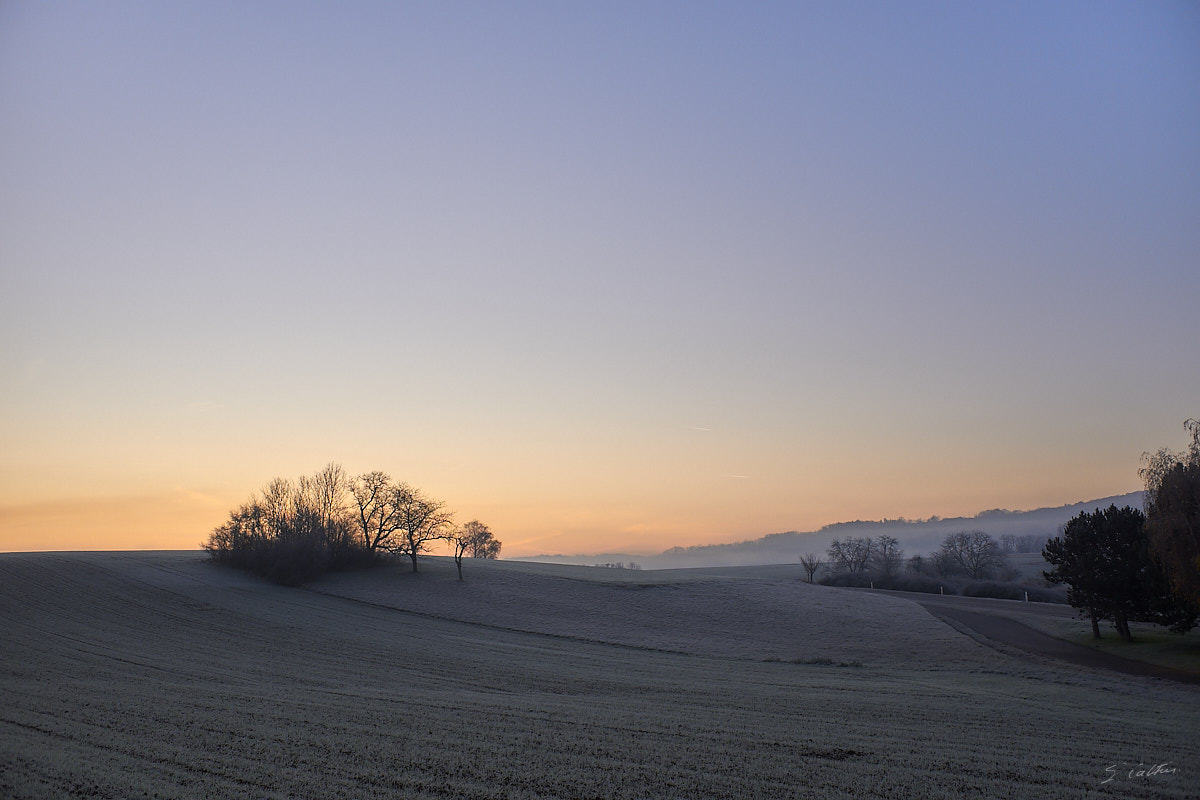 © All Rights Reserved - 2019-12-05 08:37:36 f/4 1/600sec ISO-200 18.5mm - France, Alsace, Romanswiller