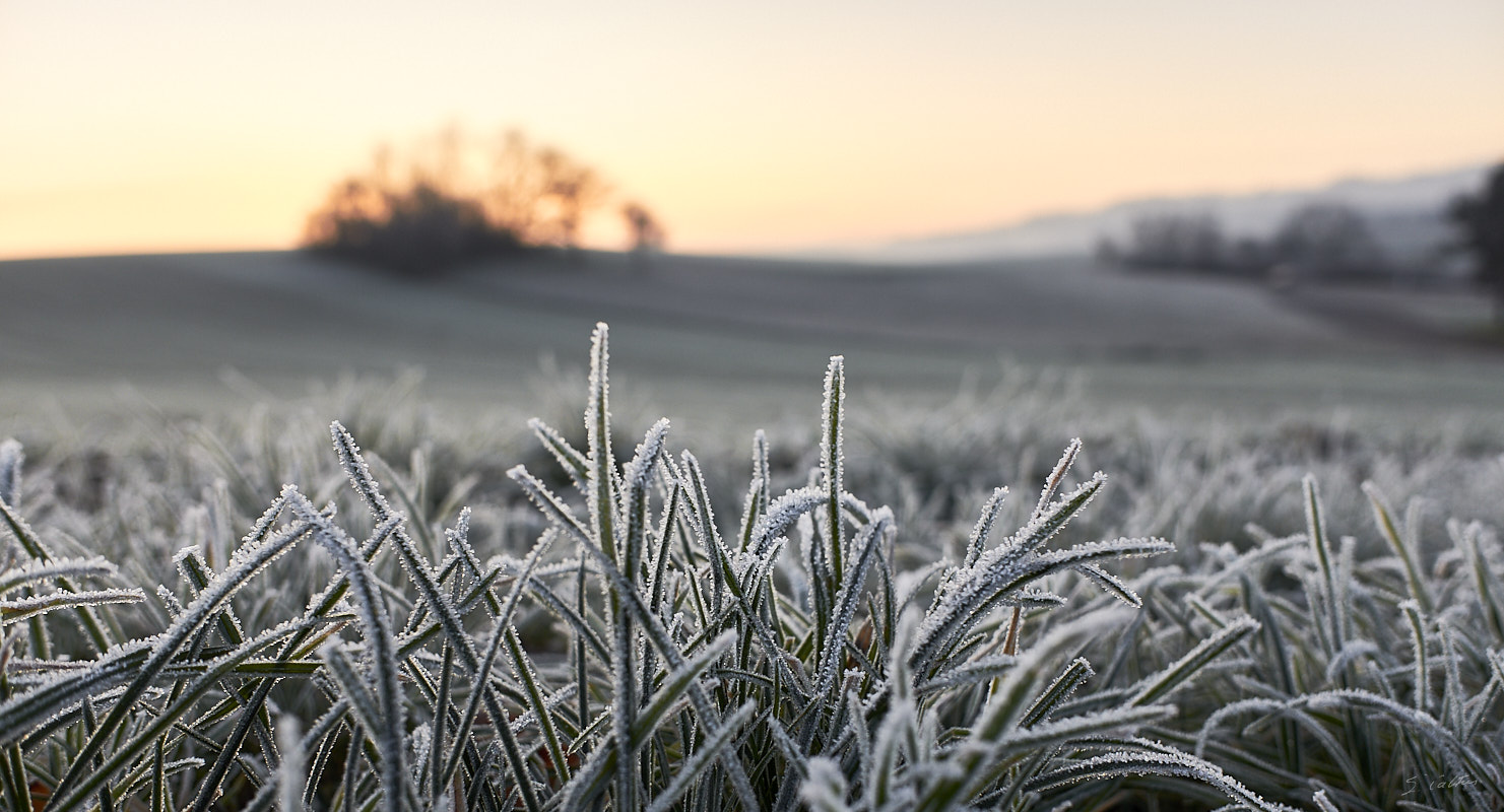 © All Rights Reserved - 2019-12-05 08:38:03 f/4 1/170sec ISO-200 18.5mm - France, Alsace, Romanswiller