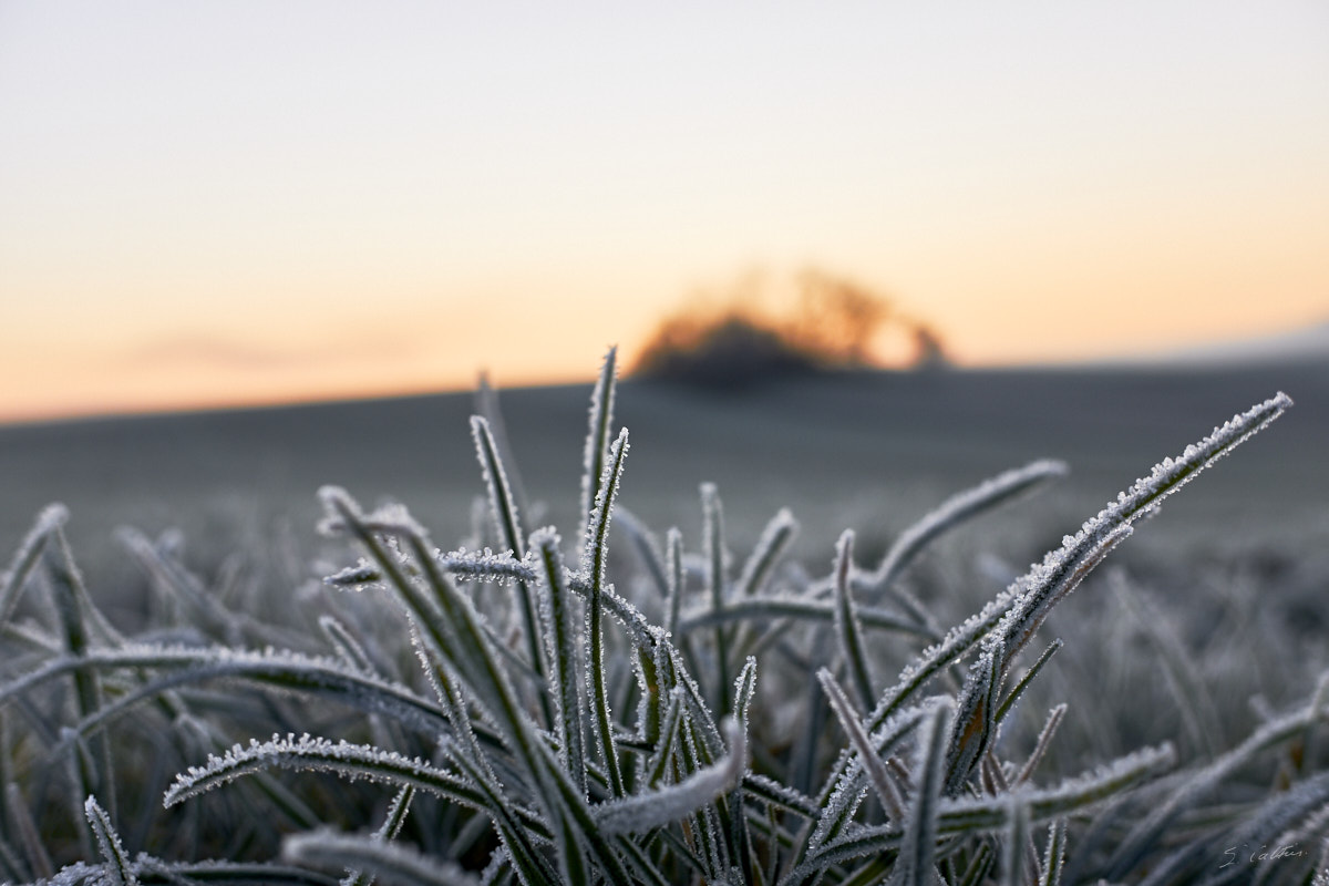 © All Rights Reserved - 2019-12-05 08:39:56 f/4 1/350sec ISO-200 18.5mm - France, Alsace, Romanswiller