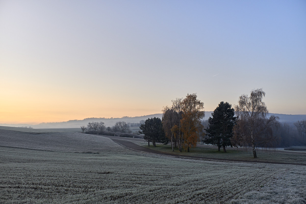 © All Rights Reserved - 2019-12-05 08:40:28 f/4 1/250sec ISO-200 18.5mm - France, Alsace, Romanswiller