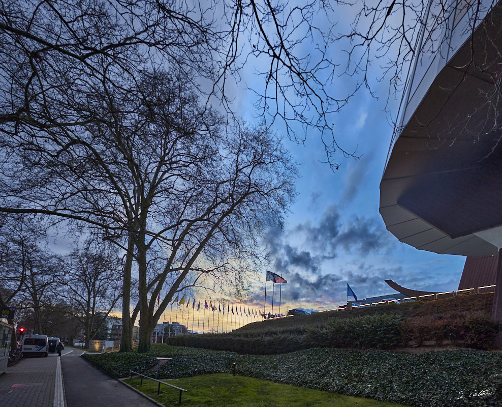 © All Rights Reserved - 2024-01-24 15:11:51 - f/4 1/320sec ISO-400 14mm - France, Alsace, Strasbourg