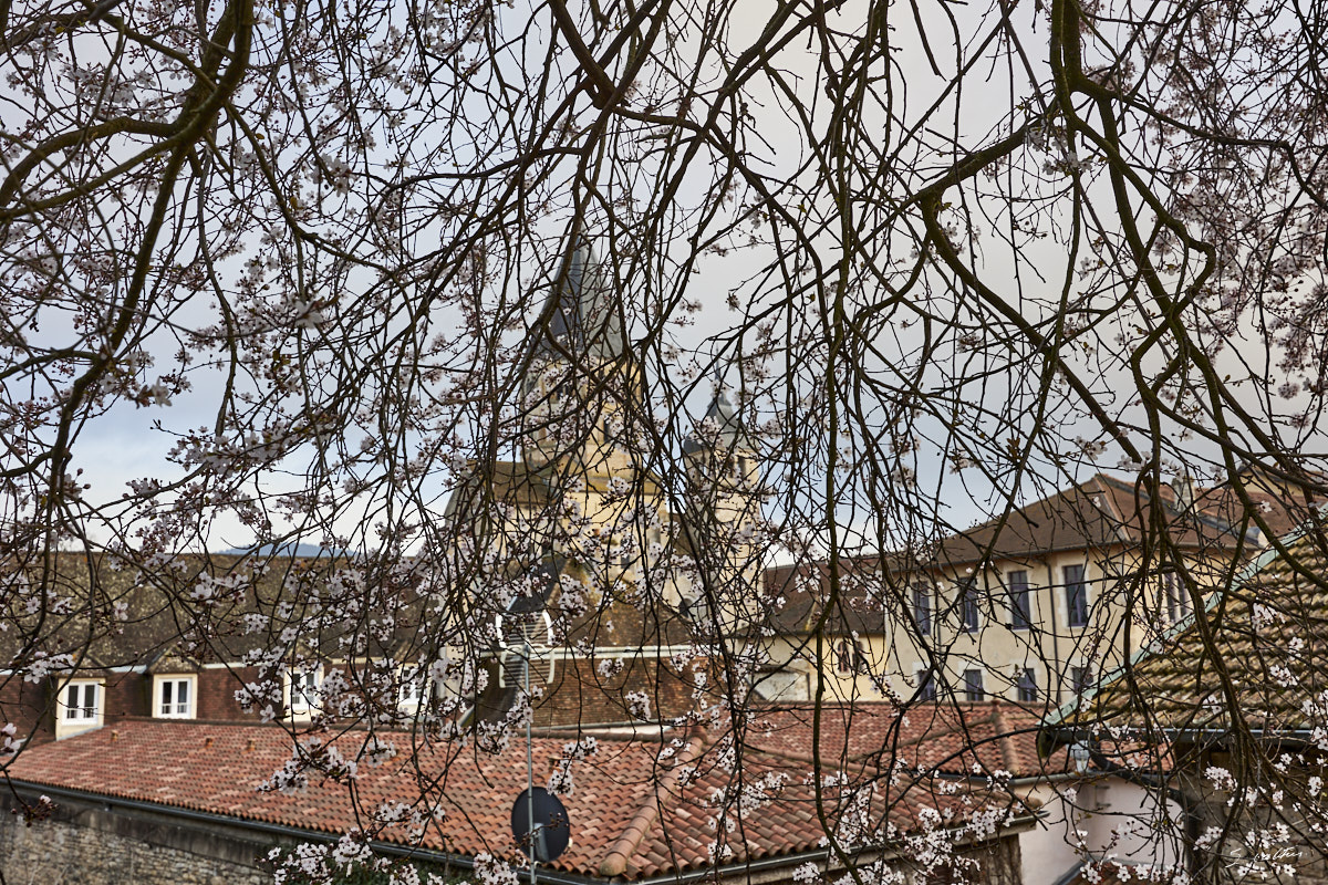 © All Rights Reserved - 2024-02-28 15:45:19 - f/8 1/40sec ISO-100 35mm - France, Bourgogne, Cluny