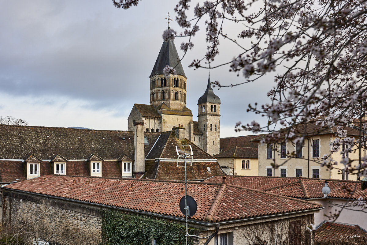 © All Rights Reserved - 2024-02-28 15:45:27 - f/8 1/50sec ISO-100 35mm - France, Bourgogne, Cluny