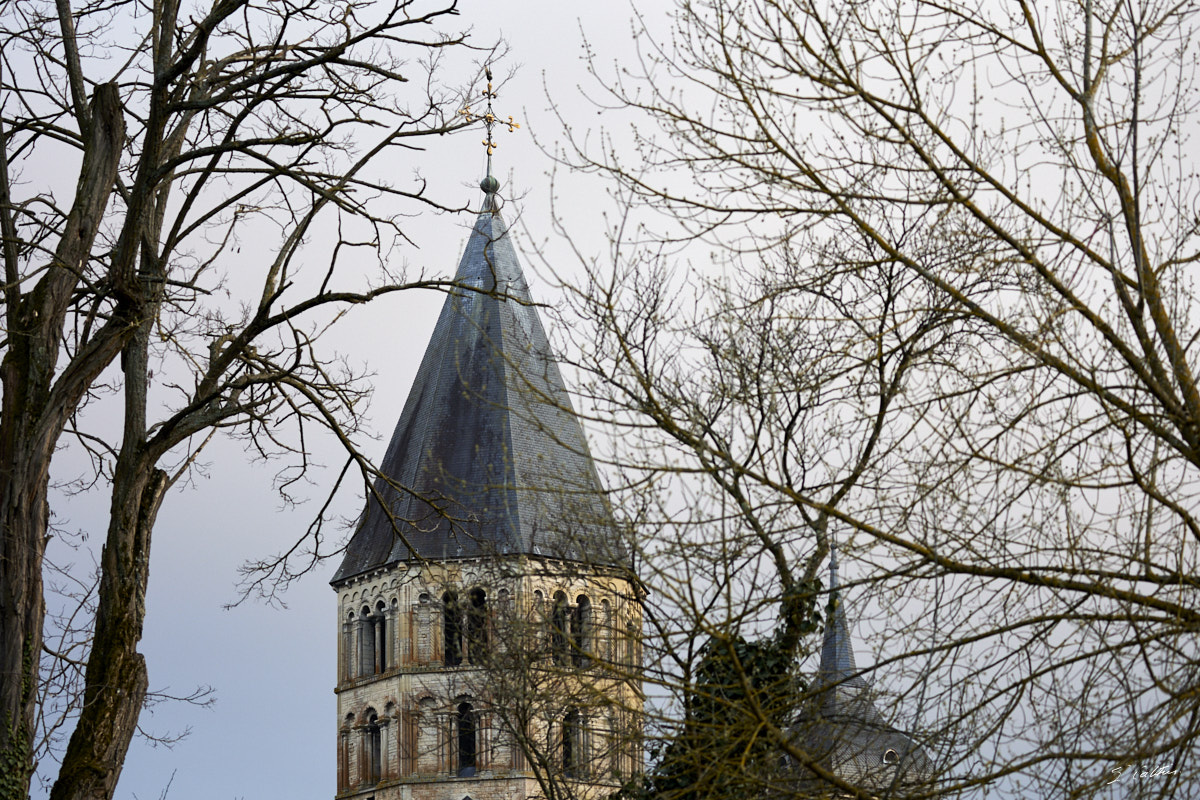 © All Rights Reserved - 2024-02-28 15:57:28 - f/5 1/125sec ISO-400 100mm - France, Bourgogne, Cluny