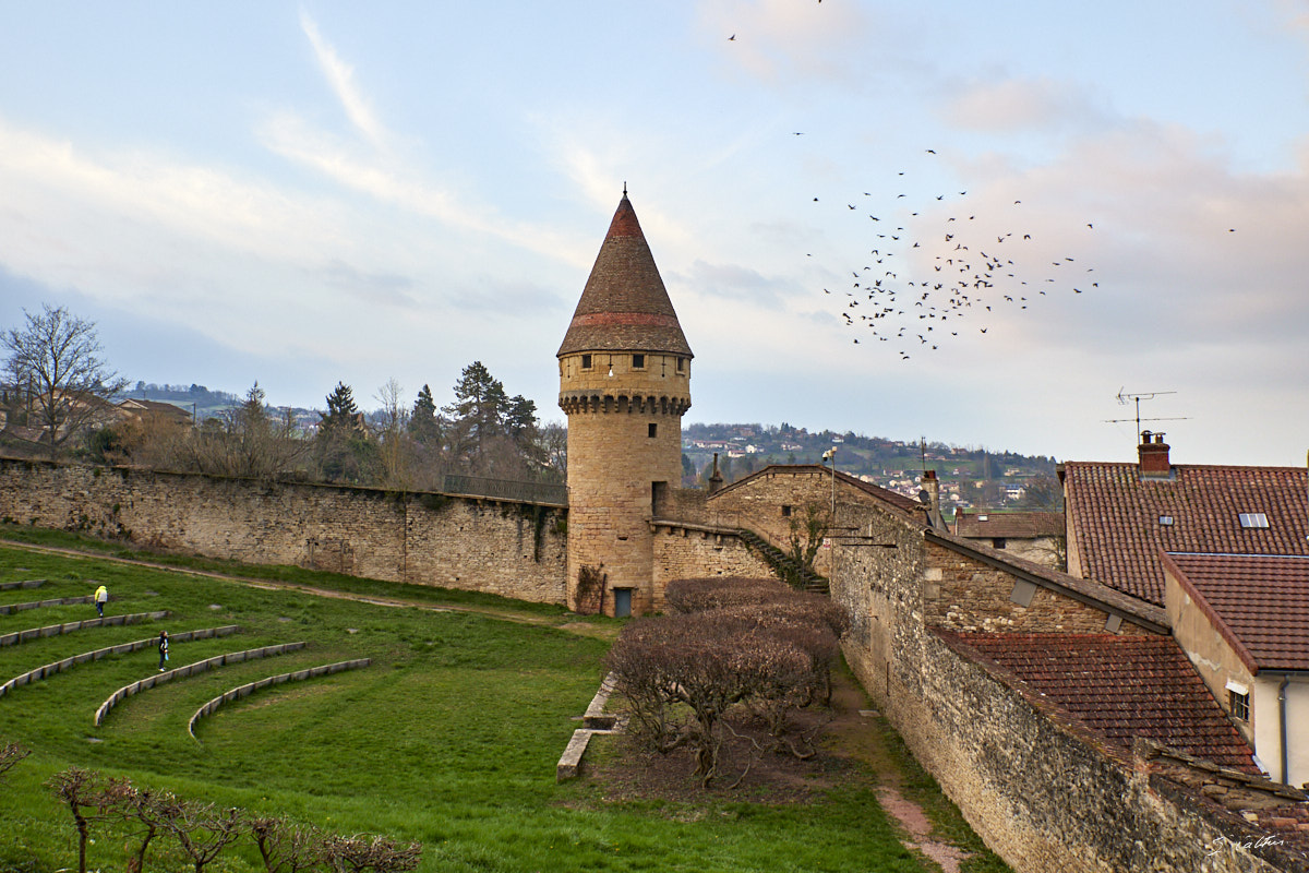 © All Rights Reserved - 2024-02-28 16:10:11 - f/5.6 1/160sec ISO-400 31mm - France, Bourgogne, Cluny