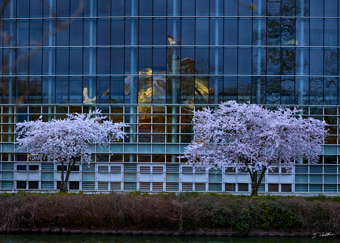 © All Rights Reserved - 2024-03-16 16:16:51 - f/5 1/80sec ISO-800 135mm - France, Alsace, Strasbourg, Parlement européen