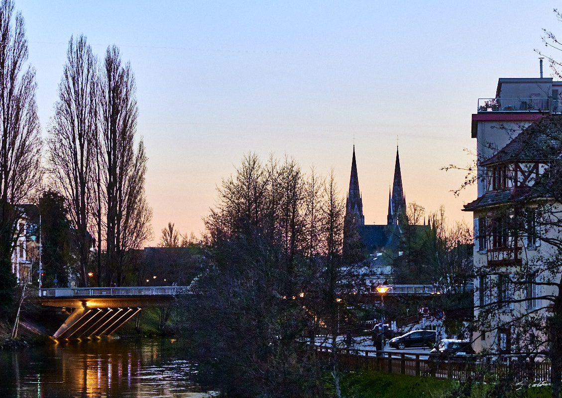 © All Rights Reserved - 2024-03-19 16:51:54 - f/9 1/200sec ISO-3200 100mm - France, Alsace, Strasbourg