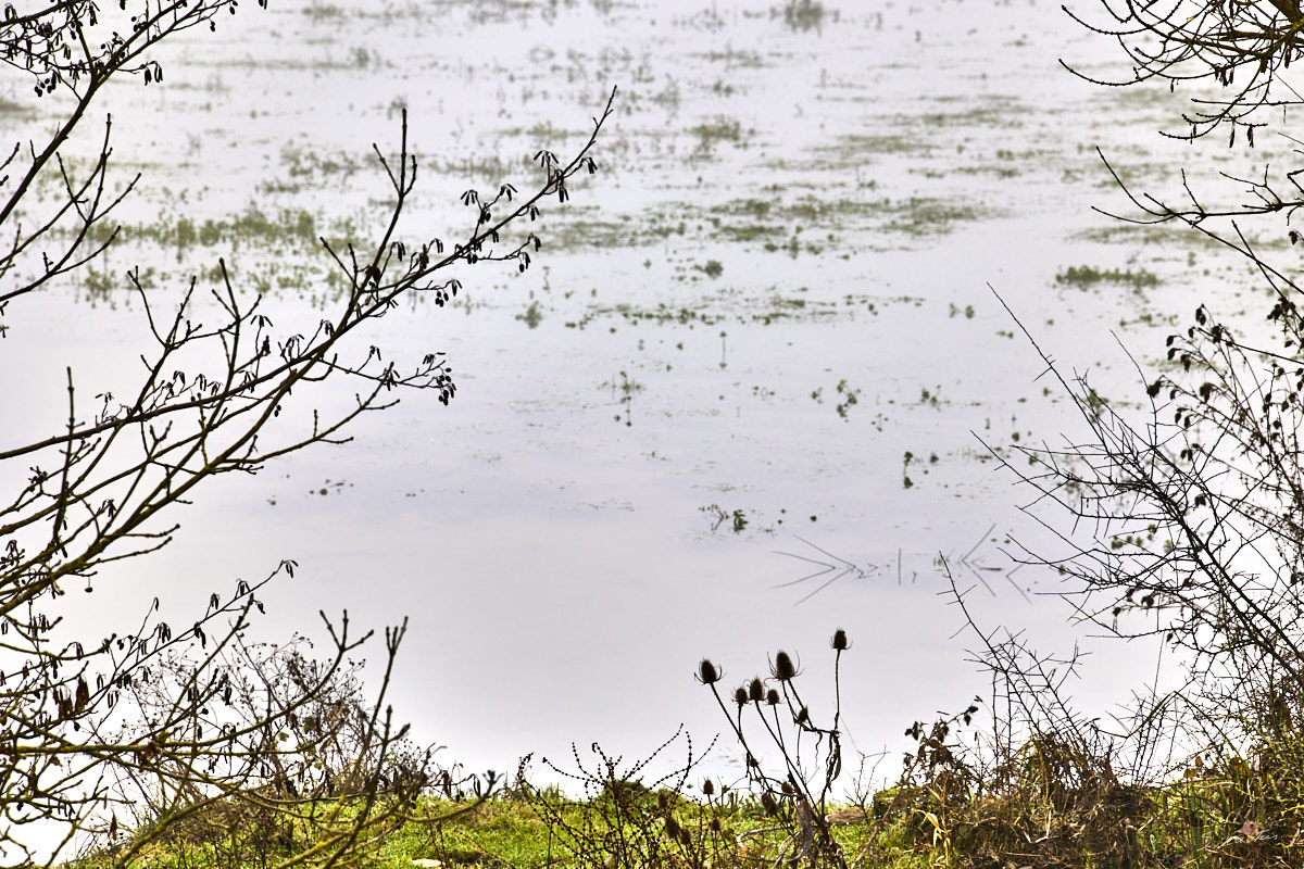 © All Rights Reserved - 2024-12-28 12:49:07 - f/8 1/100sec ISO-100 200mm - Promenade Bourguignone