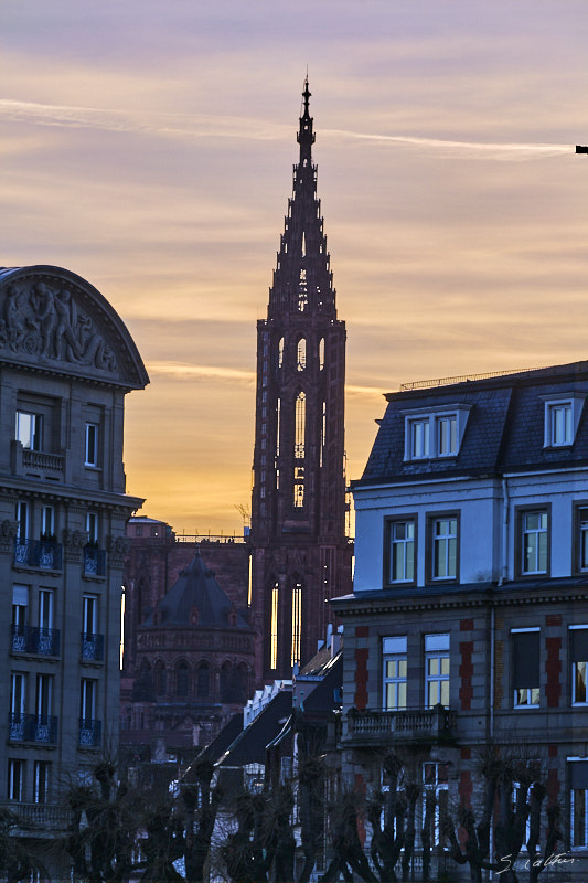 © All Rights Reserved - 2016-02-05 17:19:31 f/14 1/1250sec ISO-400 200mm - France, Strasbourg, Cathédrale