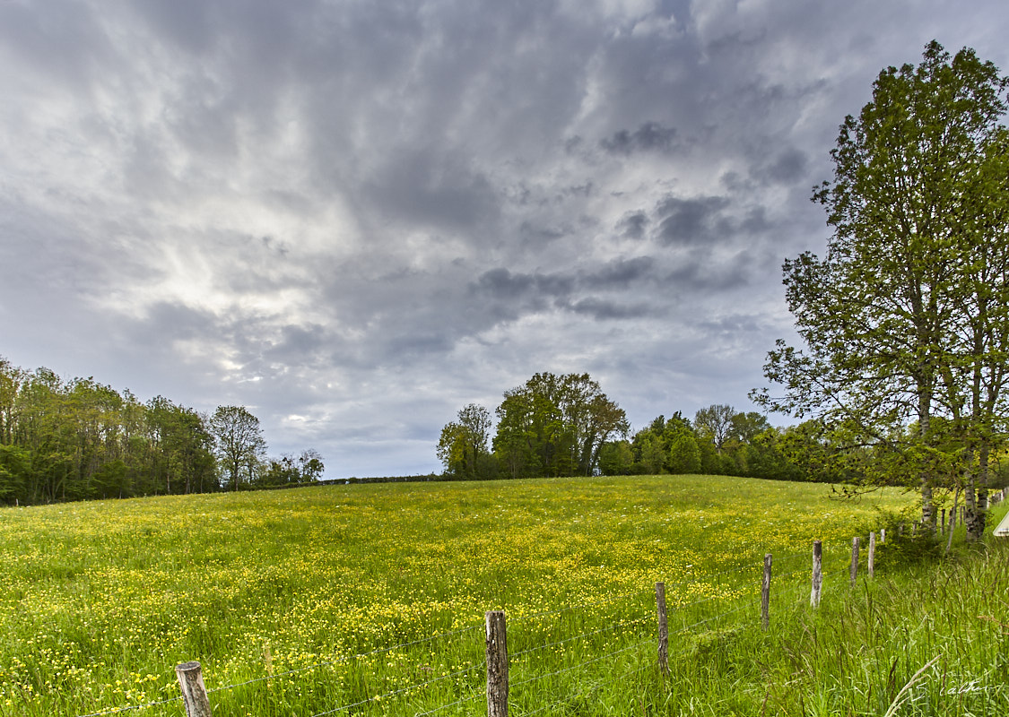 © All Rights Reserved - 2019-05-17 18:23:34 f/9 1/160sec ISO-250 17mm - France, Bourgogne, Auxois