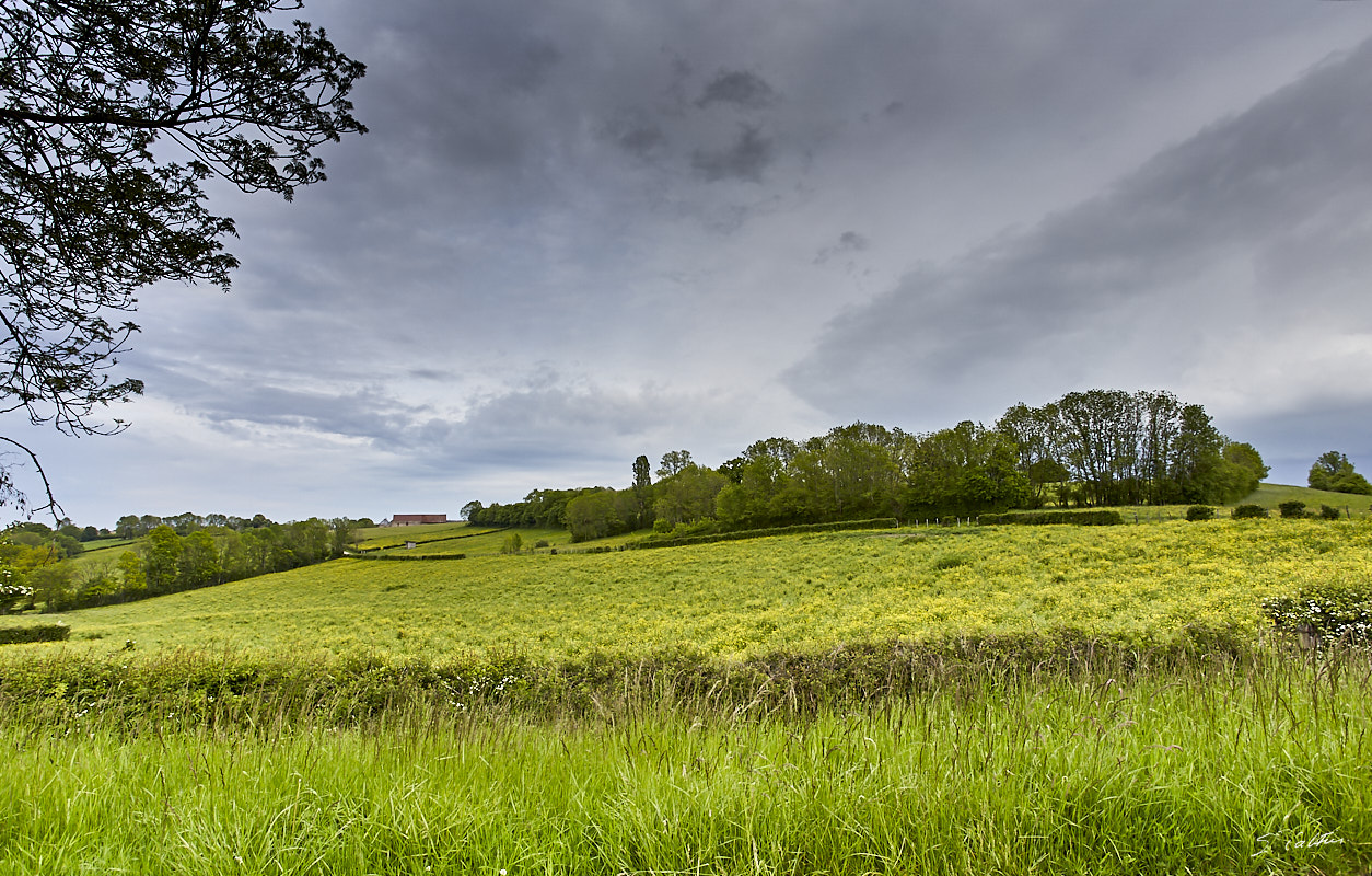 © All Rights Reserved - 2019-05-17 18:25:33 f/9 1/125sec ISO-160 17mm - France, Bourgogne, Auxois