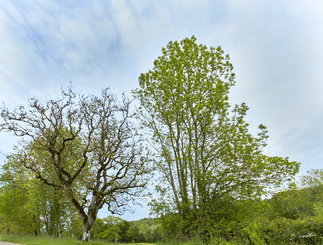 © All Rights Reserved - 2019-05-17 18:29:21 f/9 1/160sec ISO-125 17mm - France, Bourgogne, Auxois