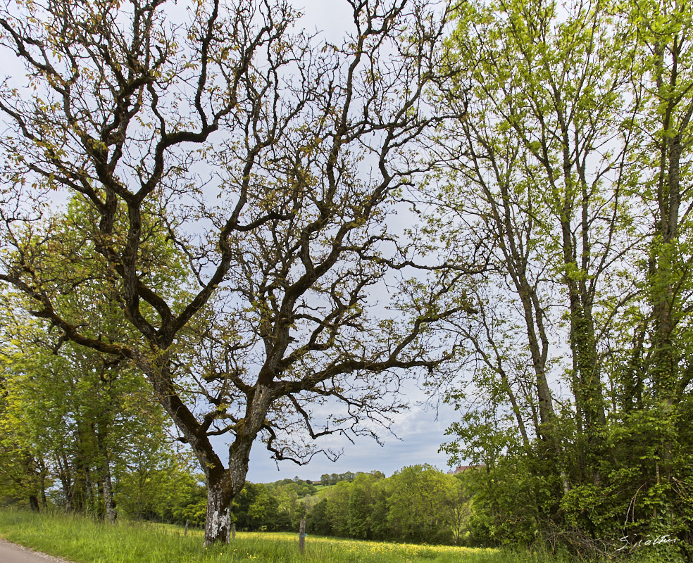 © All Rights Reserved - 2019-05-17 18:30:20 f/9 1/160sec ISO-250 17mm - France, Bourgogne, Auxois