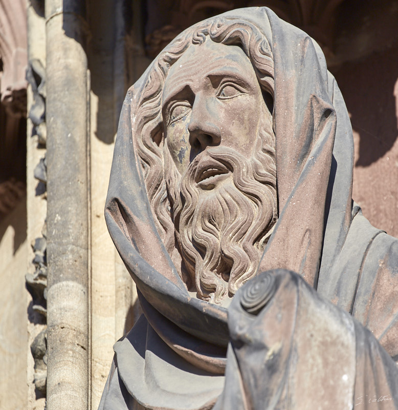 © All Rights Reserved - 2020-09-10 17:44:08 f/5.6 1/1000sec ISO-160 400mm - France, Strasbourg, Cathédrale