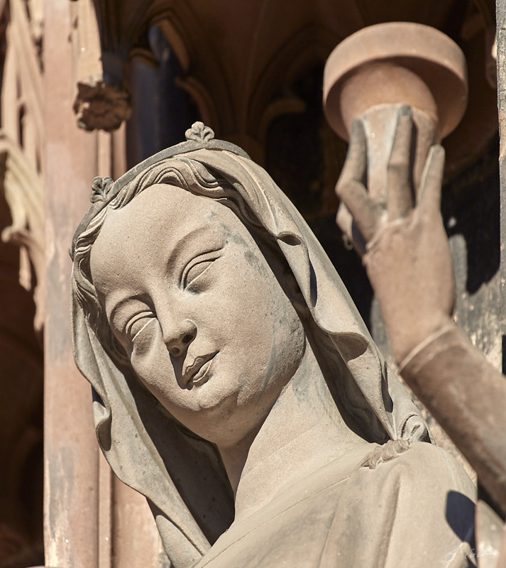 © All Rights Reserved - 2020-09-10 17:45:54 f/5.6 1/1000sec ISO-160 400mm - France, Strasbourg, Cathédrale