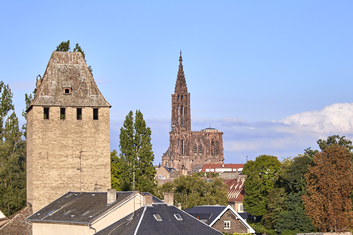 © All Rights Reserved - 2020-09-10 18:20:23 f/8 1/640sec ISO-160 100mm - France, Strasbourg, Cathédrale