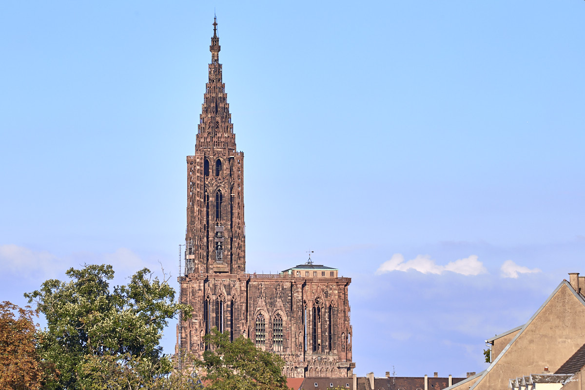 © All Rights Reserved - 2020-09-10 18:26:51 f/8 1/800sec ISO-160 200mm - France, Strasbourg, Cathédrale