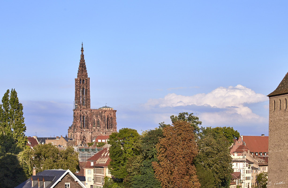 © All Rights Reserved - 2020-09-10 18:35:46 f/8 1/640sec ISO-160 100mm - France, Strasbourg, Cathédrale