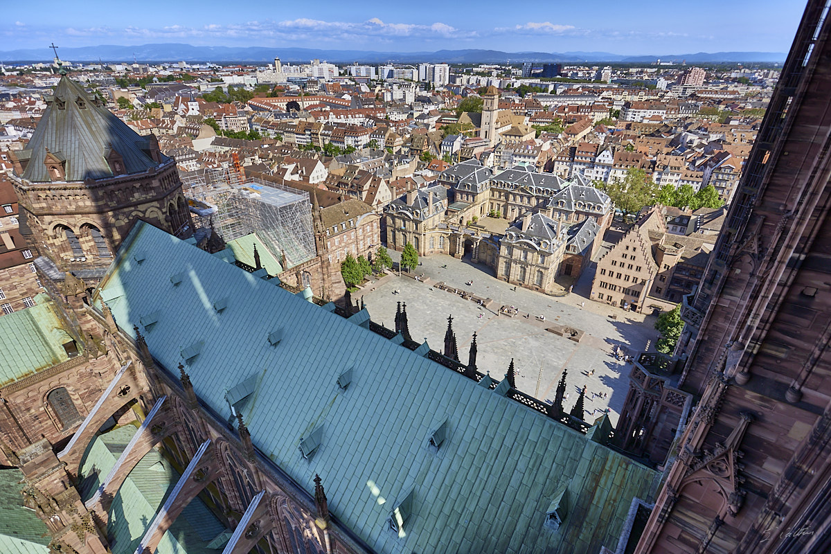 © All Rights Reserved - 2023-05-24 14:56:55 f/5 1/640sec ISO-125 17mm - France, Strasbourg, Cathédrale