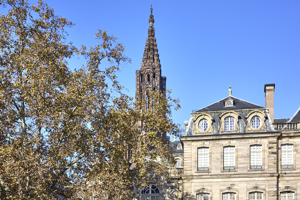 © All Rights Reserved - 2024-10-29 10:17:54 f/8 1/640sec ISO-125 50mm - France, Strasbourg, Cathédrale