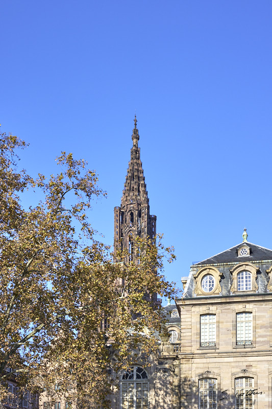 © All Rights Reserved - 2024-10-29 10:17:58 f/8 1/640sec ISO-125 50mm - France, Strasbourg, Cathédrale