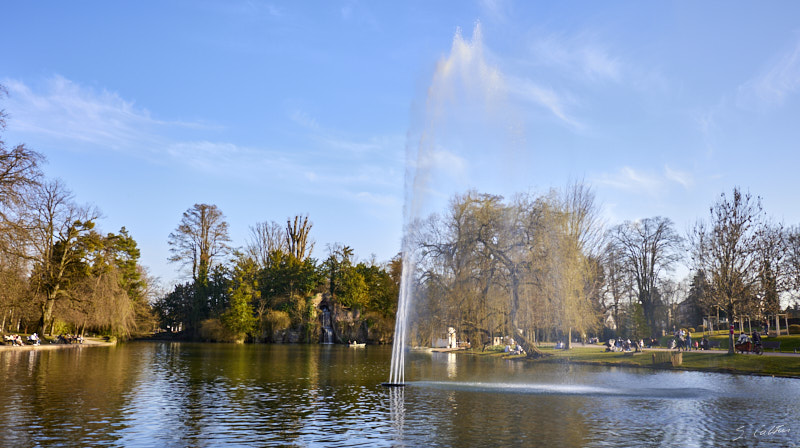 © All Rights Reserved - 2025-03-07 14:27:49 f/4 1/200sec ISO-50 26mm - Strasbourg - Parc de l'Orangerie