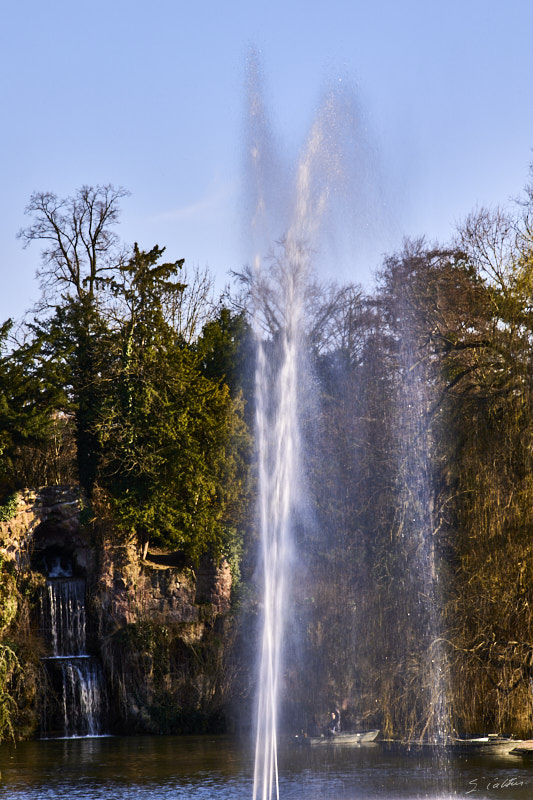 © All Rights Reserved - 2025-03-07 14:18:23 f/16 1/50sec ISO-50 200mm - Strasbourg - Parc de l'Orangerie