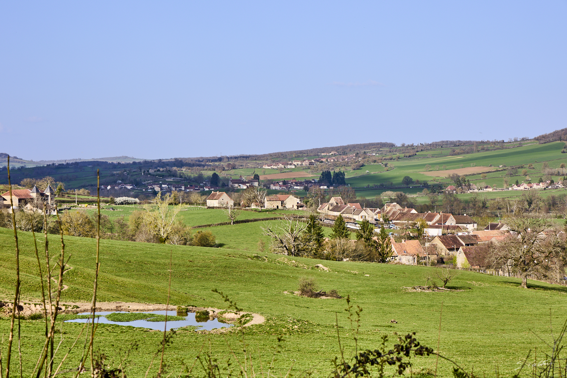 © All Rights Reserved - 2026-03-08 13:53:40 - f/8 1/250sec ISO-100 77mm - France - Bourgogne - Saône-et-Loire - Sailly