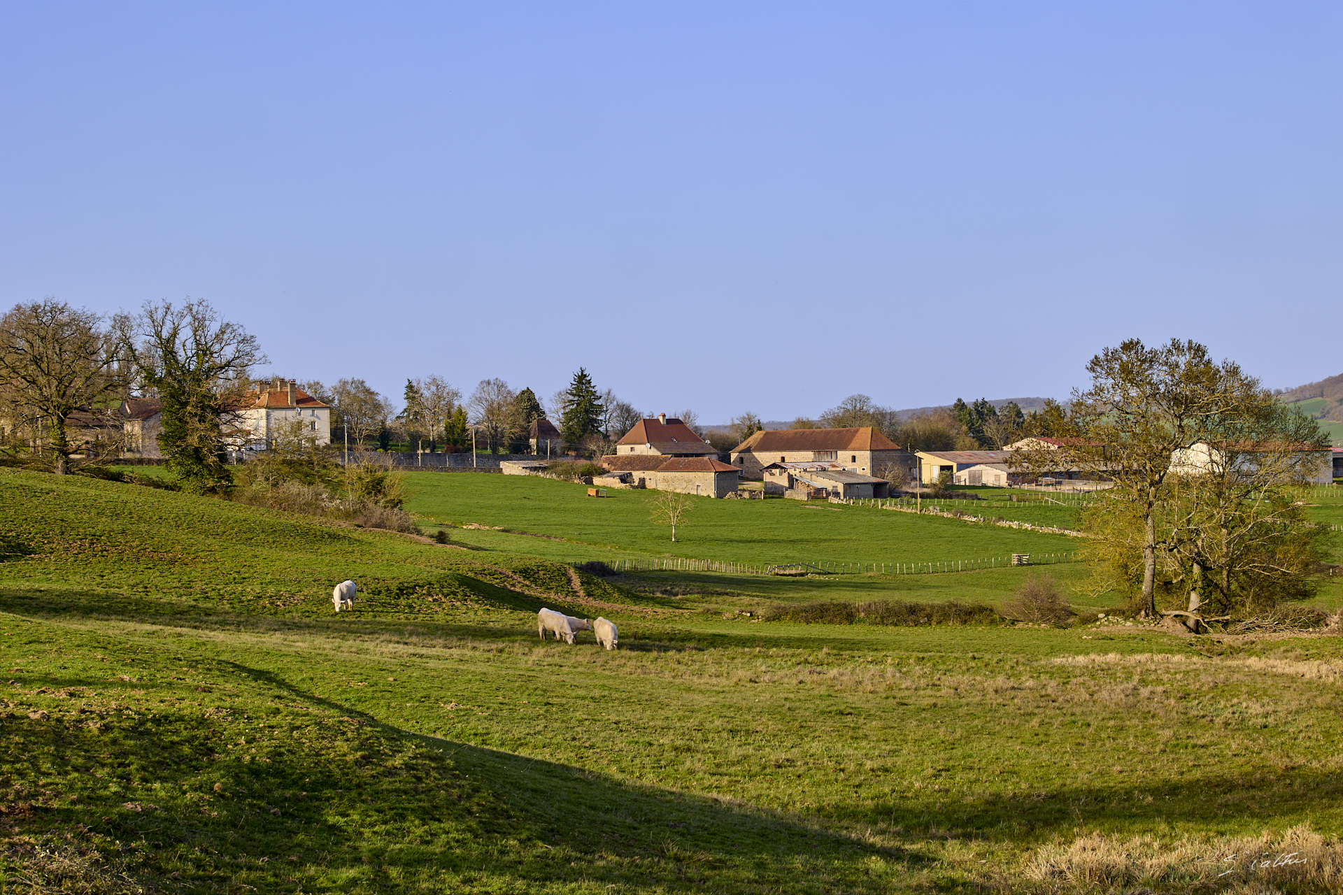 © All Rights Reserved - 2026-03-08 15:02:49 - f/8 1/200sec ISO-100 70mm - France - Bourgogne - Saône-et-Loire - Sailly