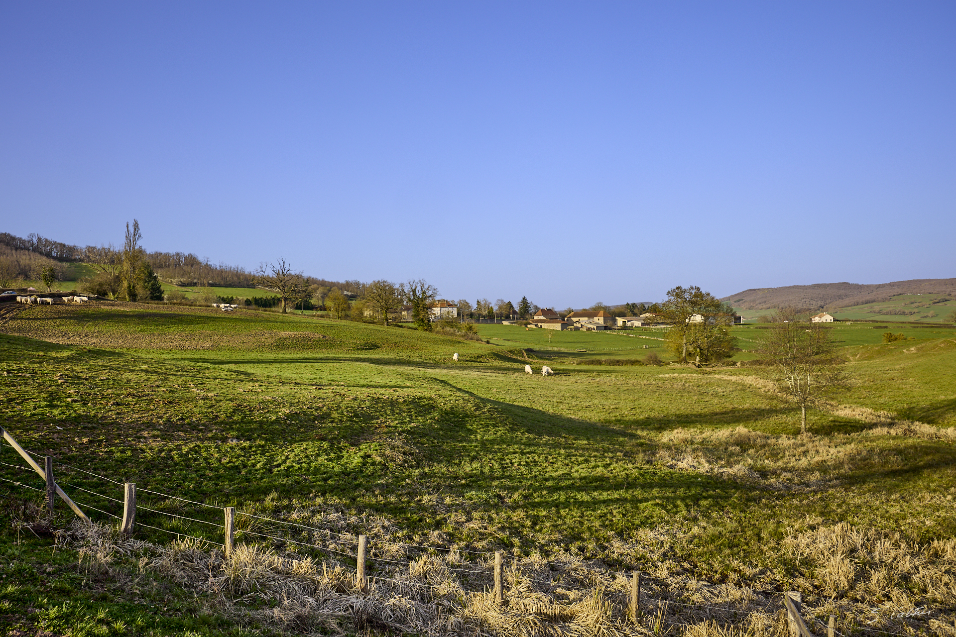 © All Rights Reserved - 2026-03-08 15:05:07 - f/8 1/400sec ISO-200 27mm - France - Bourgogne - Saône-et-Loire - Sailly