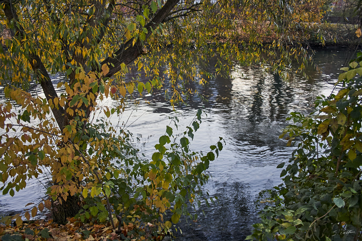 © All Rights Reserved - 2011-11-06 18:14:36 - f/3.5 1/15sec ISO-800 18mm - France, Alsace, Strasbourg
