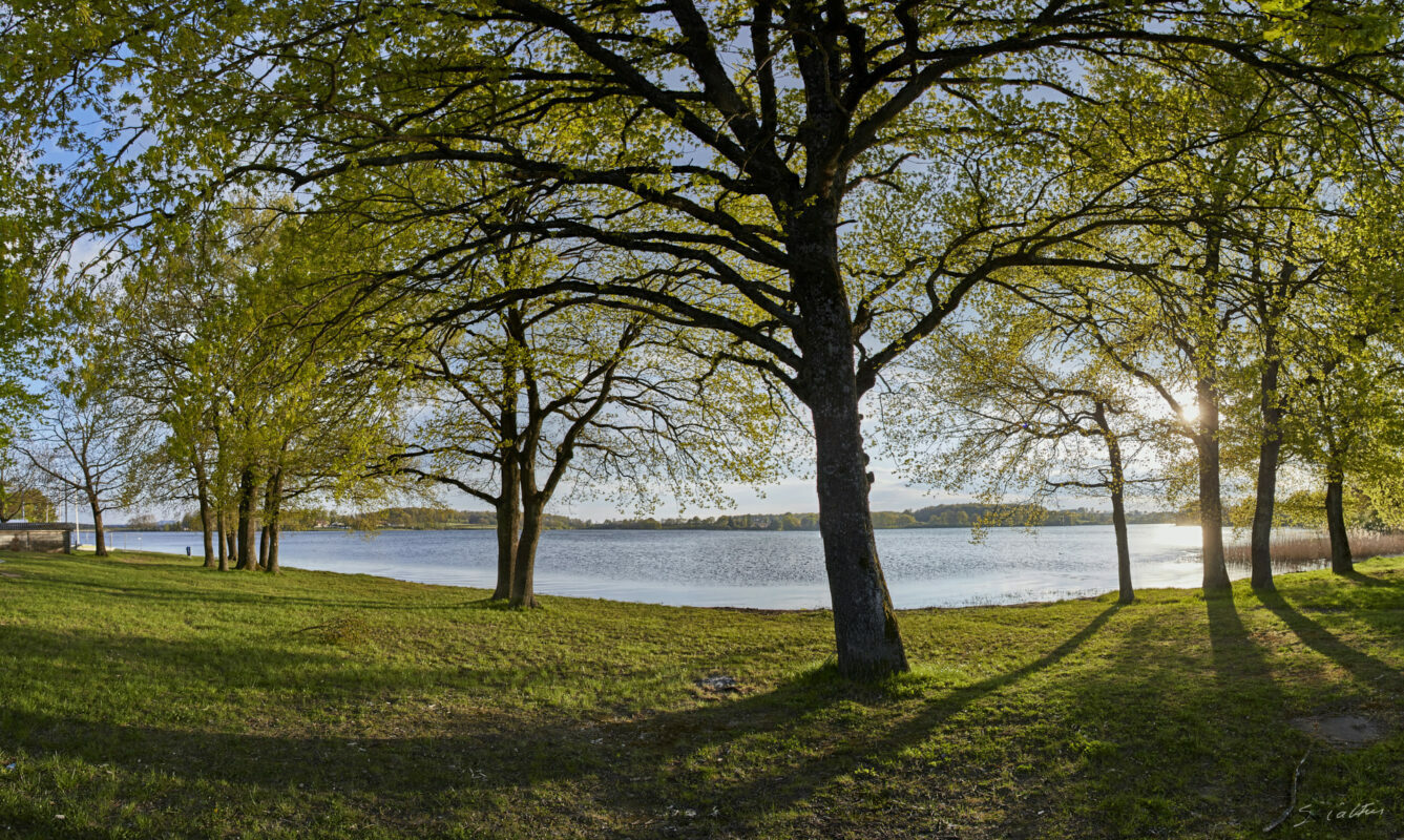 © All Rights Reserved - 2017-04-19 19:23:06 - f/8 1/125sec ISO-100 17mm- France, Saône-et-Loire, étang de Torcy