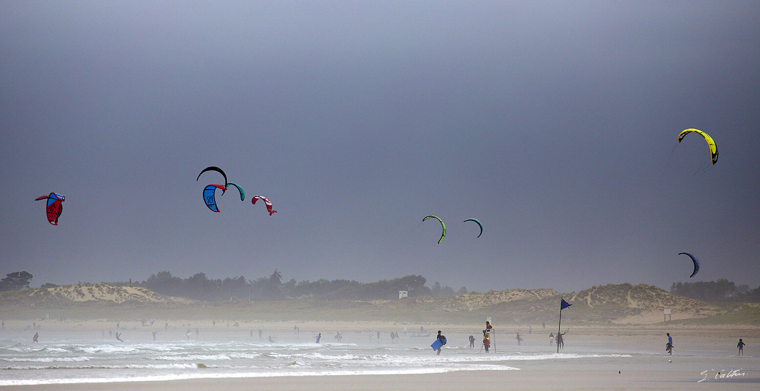 © All Rights Reserved - 2017-08-02 18:13:56 - f/5.6 1/800sec ISO-200 400mm - France, Bretagne, Carnac