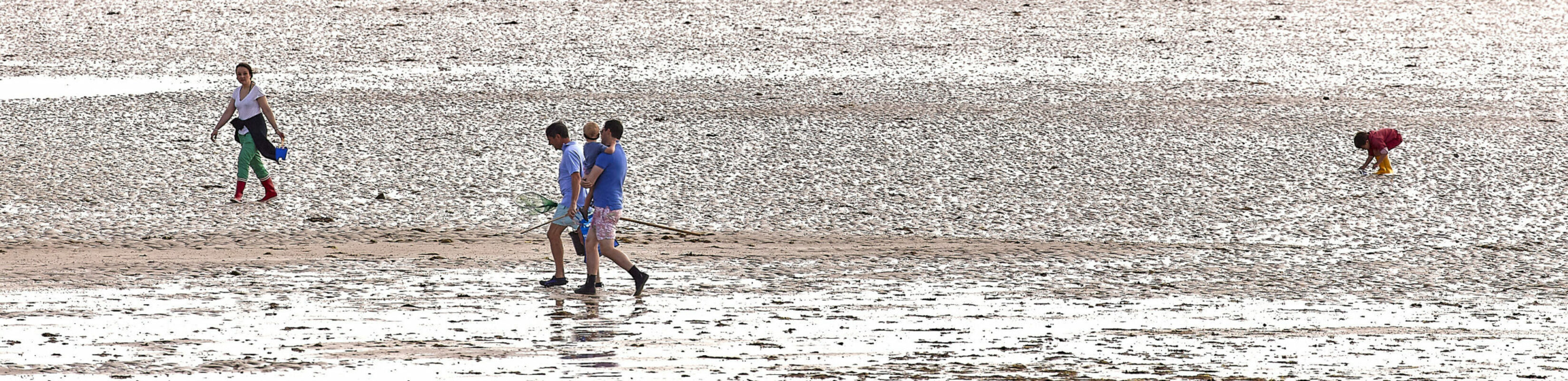 © All Rights Reserved - 2017-08-05 10:41:47 - f/5.6 1/1000sec ISO-100 400mm - France, Bretagne, Carnac