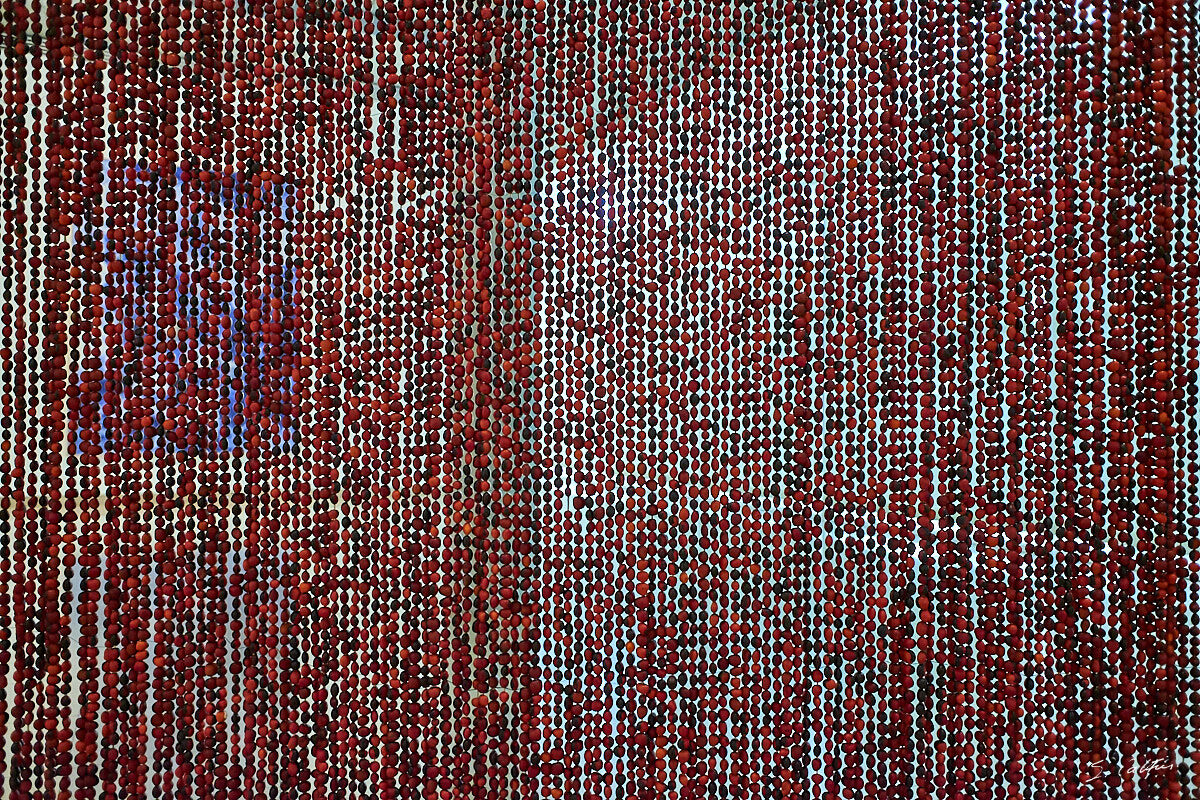 © All Rights Reserved - 2017-09-24 14:35:49 - f/2.8 1/60sec ISO-1600 18.5mm - France, Occitanie, Gard, Nîmes