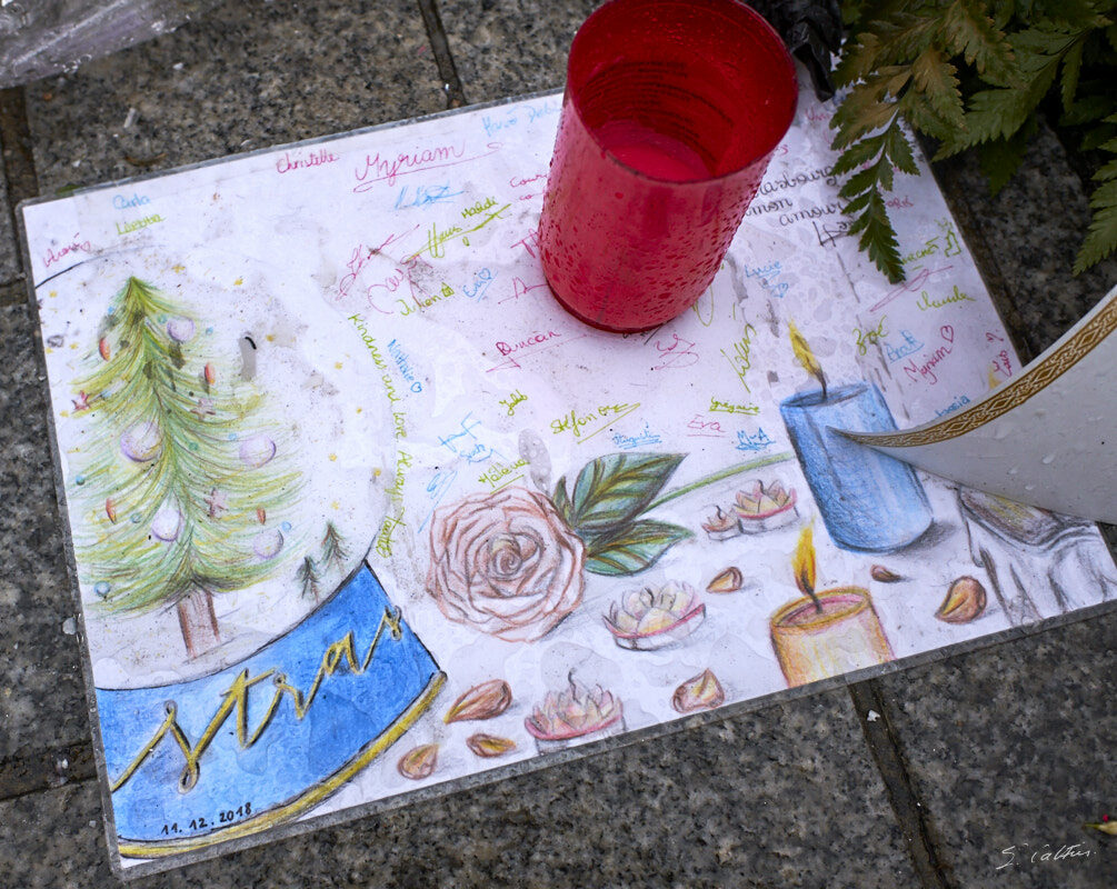 © All Rights Reserved - 2019-02-01 14:52:27 f/4 1/550sec ISO-400 18.5mm - France, Alsace, Strasbourg