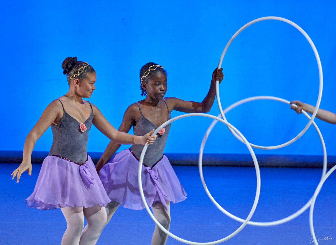 © All Rights Reserved - 2019-04-02 19:10:39 - f/5 1/160sec ISO-4000 248mm