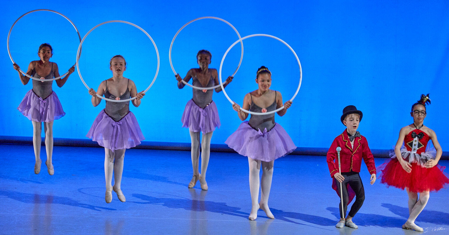 © All Rights Reserved - 2019-04-02 19:11:05 - f/5 1/160sec ISO-3200 135mm