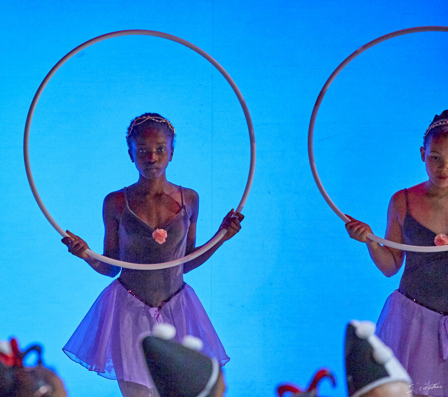 © All Rights Reserved - 2019-04-02 19:11:53 - f/5.6 1/125sec ISO-3200 400mm