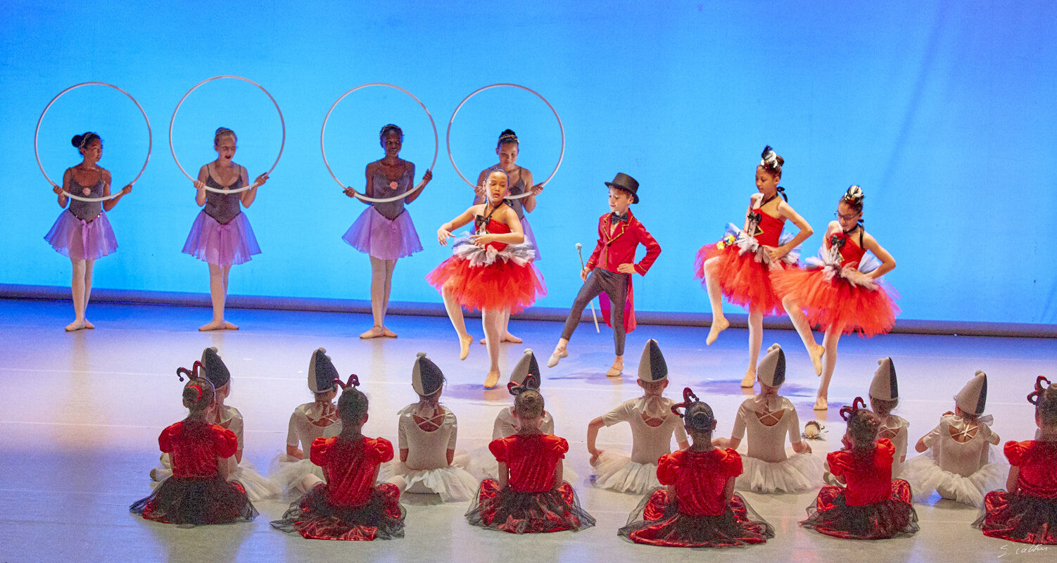 © All Rights Reserved - 2019-04-02 19:12:42 - f/5 1/160sec ISO-5000 100mm