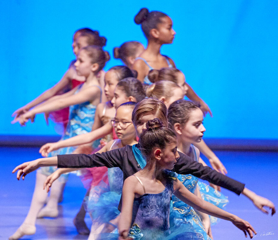 © All Rights Reserved - 2019-04-02 19:15:35 - f/5 1/125sec ISO-10000 255mm