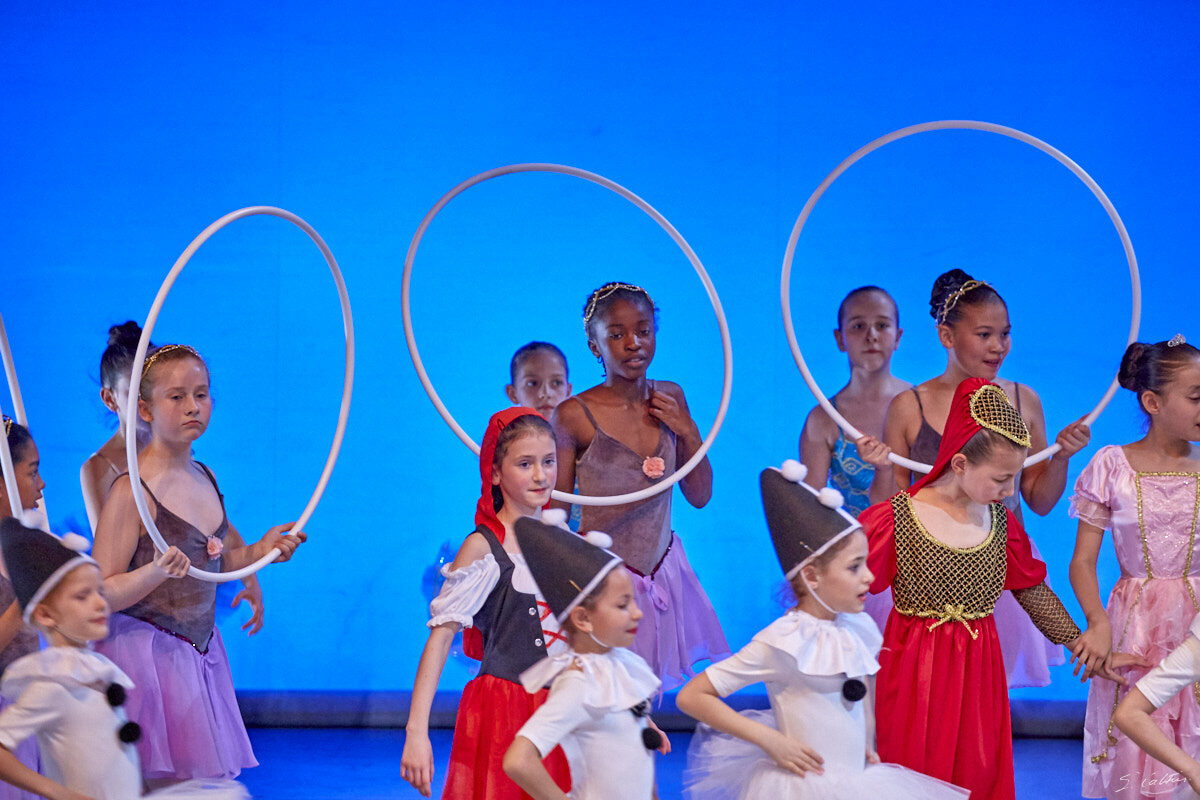 © All Rights Reserved - 2019-04-02 19:18:17 - f/5 1/160sec ISO-4000 263mm