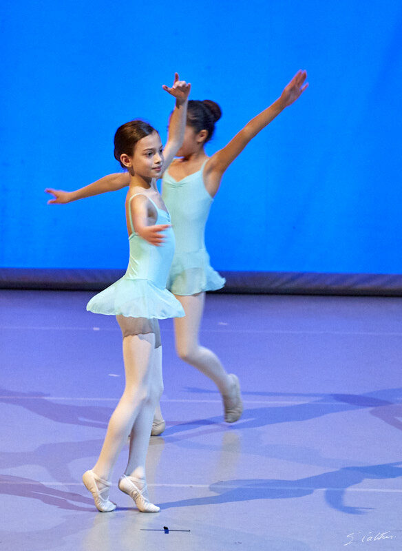 © All Rights Reserved - 2019-04-02 19:21:49 - f/5 1/125sec ISO-4000 200mm