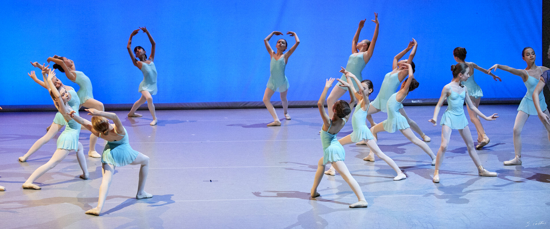 © All Rights Reserved - 2019-04-02 19:22:52 - f/5 1/160sec ISO-5000 100mm