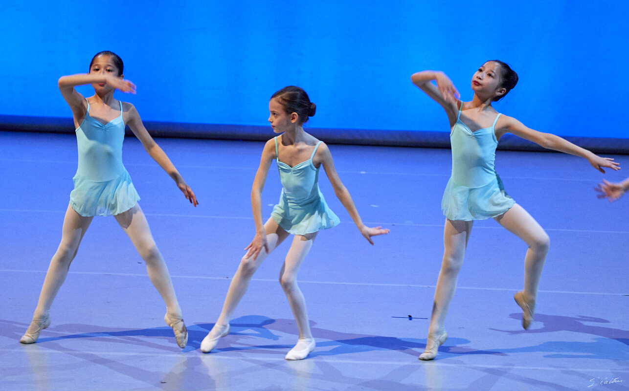 © All Rights Reserved - 2019-04-02 19:25:07 - f/5 1/160sec ISO-4000 176mm