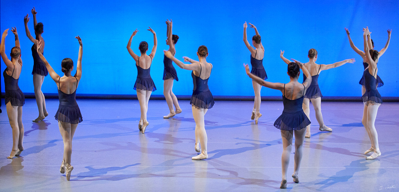 © All Rights Reserved - 2019-04-02 19:26:46 - f/5 1/125sec ISO-4000 100mm