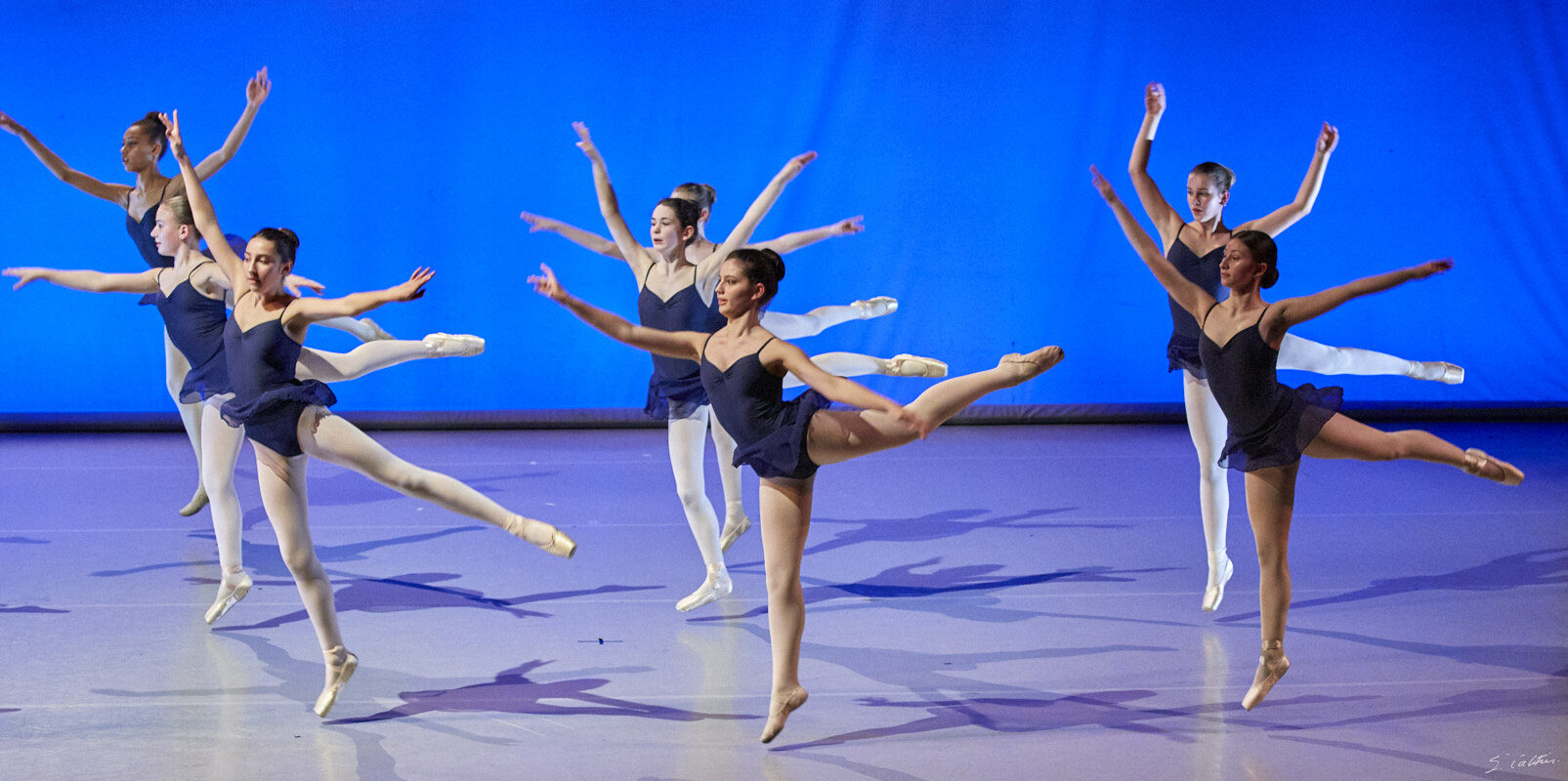 © All Rights Reserved - 2019-04-02 19:35:13 - f/5 1/160sec ISO-5000 100mm