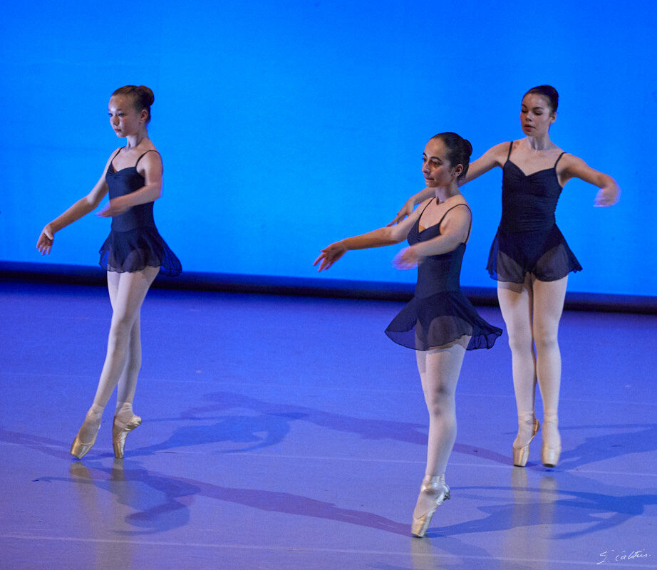 © All Rights Reserved - 2019-04-02 19:39:06 - f/5 1/160sec ISO-4000 148mm