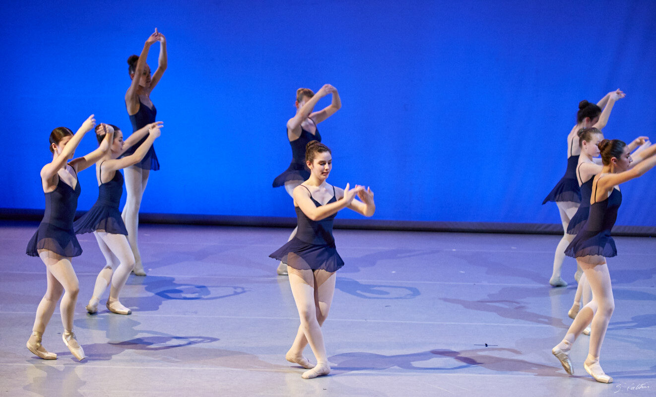 © All Rights Reserved - 2019-04-02 19:40:55 - f/5 1/160sec ISO-5000 135mm